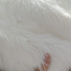 Hosszú szálú műszőrme fehér (6-7cm) extra puha