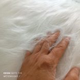 Fehér hosszú szálú műszőrme (5-6cm) 