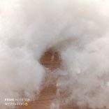 Tépett vatelin 5kg  Átmeneti készlethiány! 